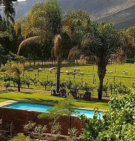 Long Acres Cottages Montagu Bagian luar foto